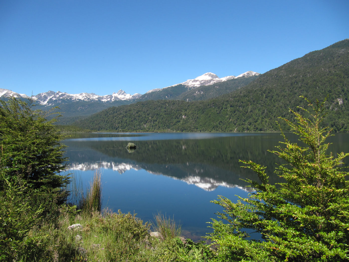 Mehr über den Artikel erfahren Chile – Nordpatagonien Tag: Fahrt nach Puyuhuapi