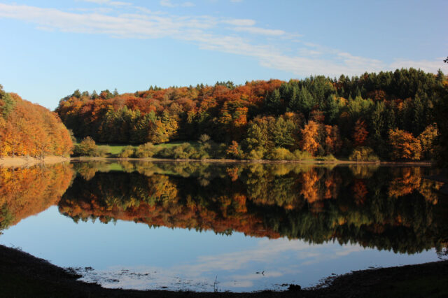 Mehr über den Artikel erfahren Herbstfrische an der Bever-Talsperre