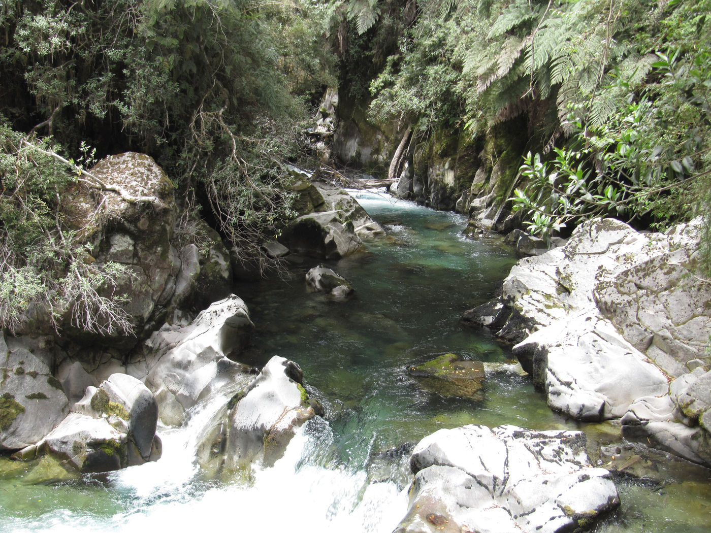 Mehr über den Artikel erfahren Chile – Sur Chico: Canyoning und Ascheregen in Osorno