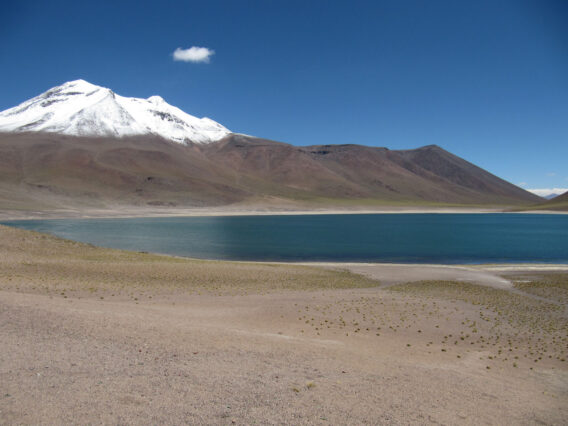 Mehr über den Artikel erfahren Chile – Atacamawüste: Lagunen und Flamingos