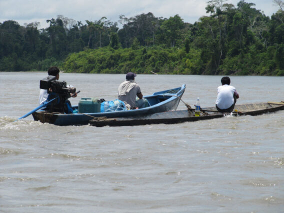 Mehr über den Artikel erfahren Peru: Langbootfahrt auf dem Rio Madre de Dios