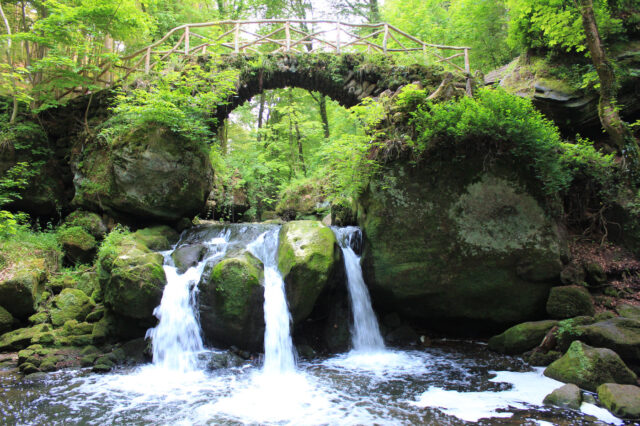 Mehr über den Artikel erfahren Wanderlust in der Luxemburger Schweiz