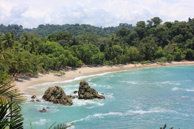 Mehr über den Artikel erfahren Costa Rica Tag 14+15: Manuel Antonio Nationalpark