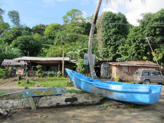 Mehr über den Artikel erfahren Costa Rica Tag 16+17: Drake Bay und Schnorcheln vor der Isla Cano