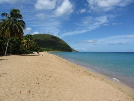 Mehr über den Artikel erfahren Karibik Tag 19+20: Schorcheln in der Jacques Costeau Reserve und Strandtag Grande Anse