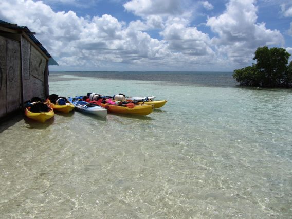 Mehr über den Artikel erfahren Karibik Tag 21+22: Kajaktour in der Grand Cul de Sac Marin und Besichtigung von Point a Pitre auf Guadeloupe