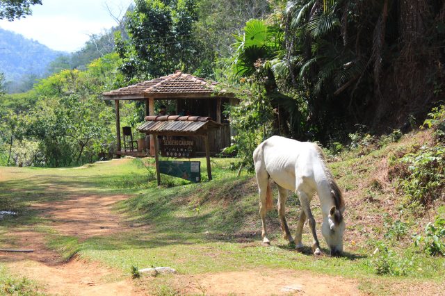 Mehr über den Artikel erfahren Kuba Tag 9: Nationalpark Topes de Collantes