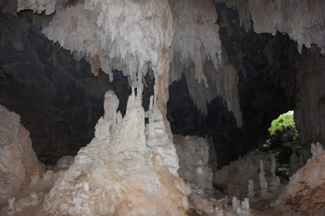 Mehr über den Artikel erfahren Kuba Tag 12: Fahrt nach Vinales und Besuch der Cuevas de Santo Tomas