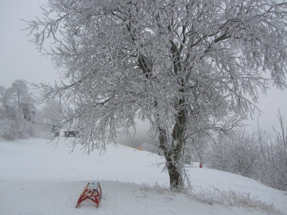 Mehr über den Artikel erfahren Rodelspaß in Winterberg