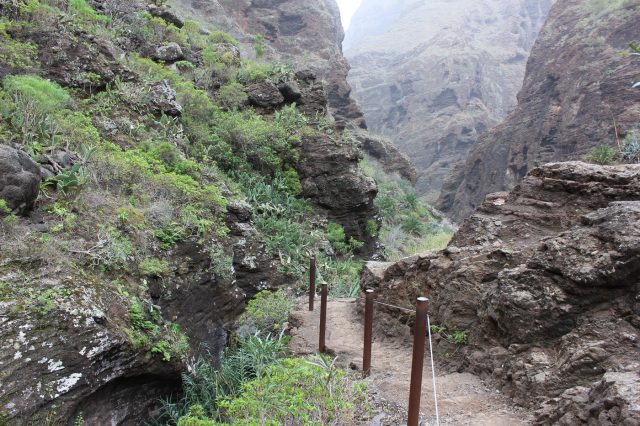 Mehr über den Artikel erfahren Teneriffa Tag 5: Masca Schlucht Wanderung