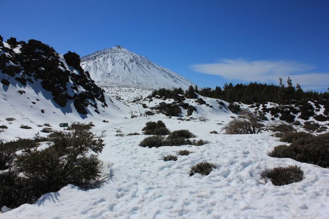 Mehr über den Artikel erfahren Teneriffa Tag 7: Der Teide im Schnee und eine verhinderte Wanderung