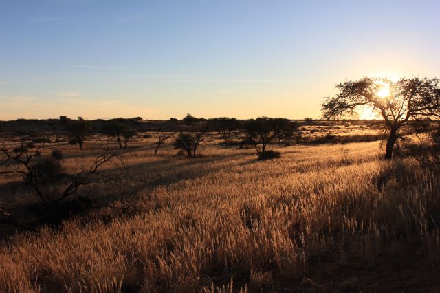 Mehr über den Artikel erfahren Namibia Tag 2: Kalahari und Heldenacker Denkmal