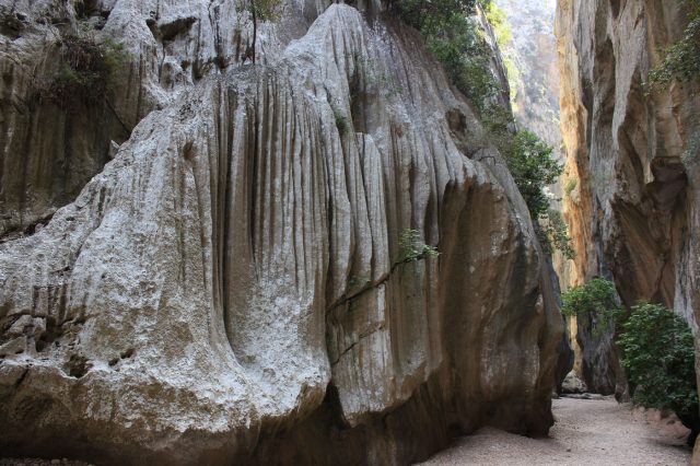 Mehr über den Artikel erfahren Mallorca Tag 9+10: Alcudia und Torrent de Pareis