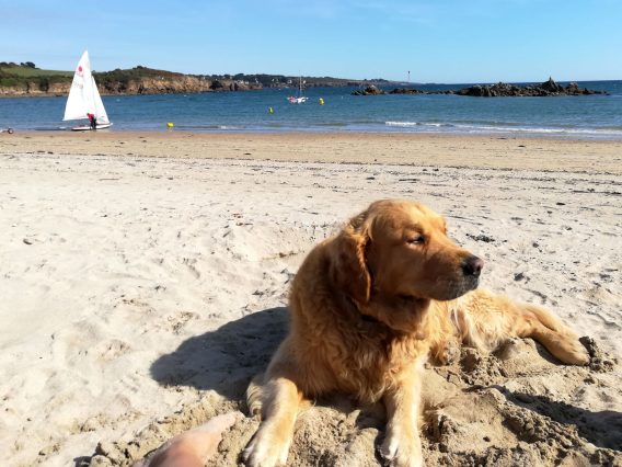 Mehr über den Artikel erfahren Bretagne Tag 10: Relaxen und Kajakfahren bei Port Manec’h