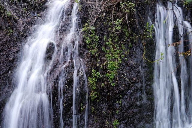 Mehr über den Artikel erfahren La Palma Tag 3: Durch 13 Tunnel zu den Quellen von Marcos y Cordero