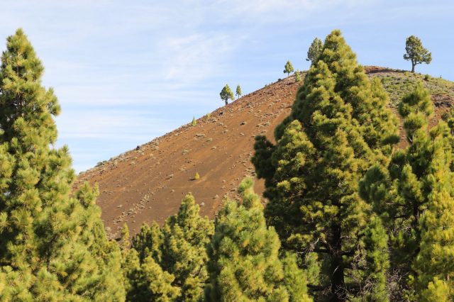 Mehr über den Artikel erfahren La Palma Tag 6: Die Vulkanroute