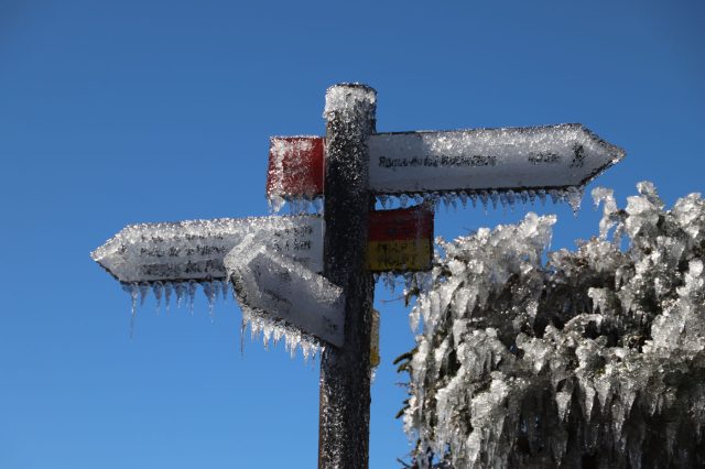 Mehr über den Artikel erfahren La Palma Tag 8: Winterwunderland in den Bergen