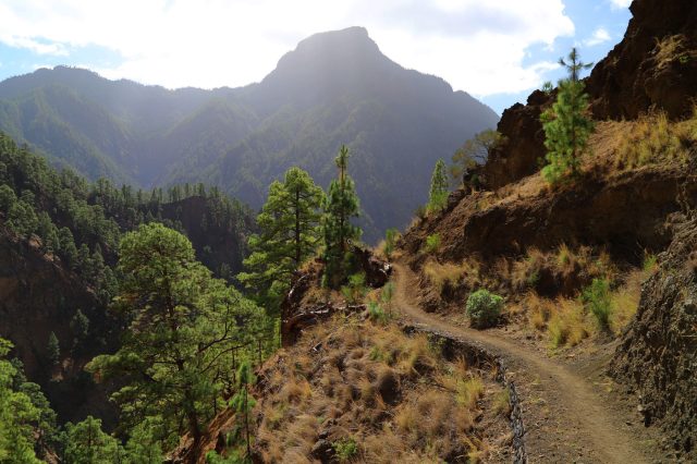 Mehr über den Artikel erfahren La Palma Tag 9: Wanderung in der Caldera de Taburiente