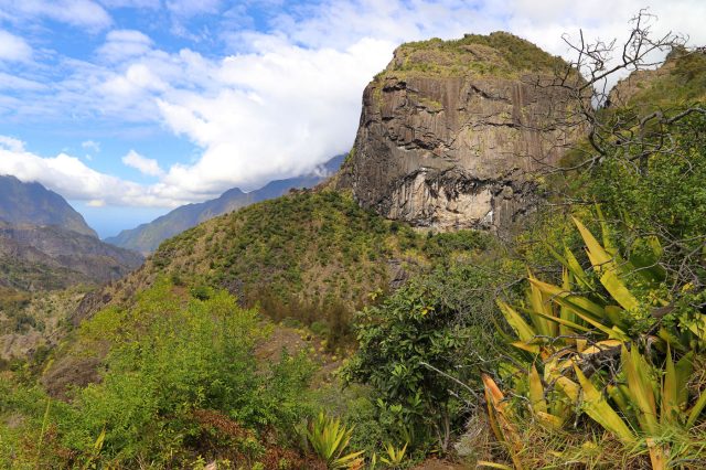 Mehr über den Artikel erfahren Réunion und Mauritius Tag 6: Les Bras Rouge Bergwanderung