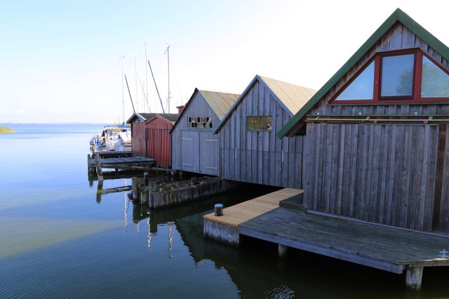 Mehr über den Artikel erfahren Ostsee Rundreise Tag 20: Am Weststrand und in Ahrenshoop auf Fischland-Darß-Zingst