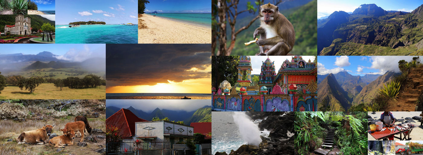 Mehr über den Artikel erfahren La Réunion und Mauritius