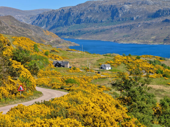 Mehr über den Artikel erfahren Schottland Tag 15: Auf der NC 500 von Ullapool bis Tongue