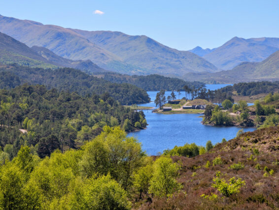 Mehr über den Artikel erfahren Schottland Tag 17: Loch Ness und Glen Affric
